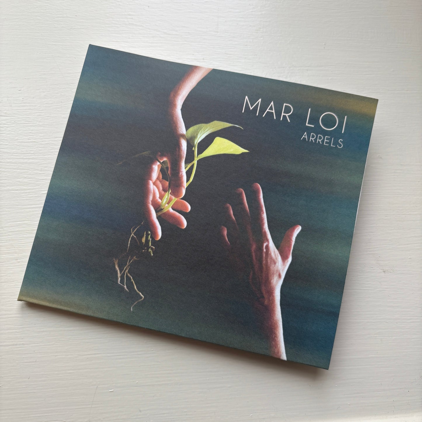 Mar Loi “Arrels” CD cover resting on a white surface, showing two hands reaching toward a small plant.